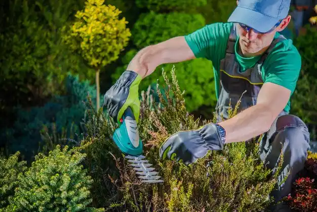 landscaping services Durand